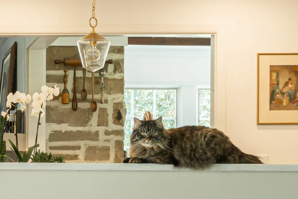 Pepper Pike Kitchen Expansion and Patio by Hurst Design Build Remodel - Photo 9