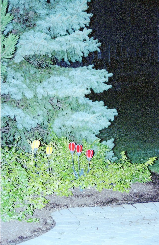Lot 62 backyard by Pro Care Horticultural Services - Photo 48