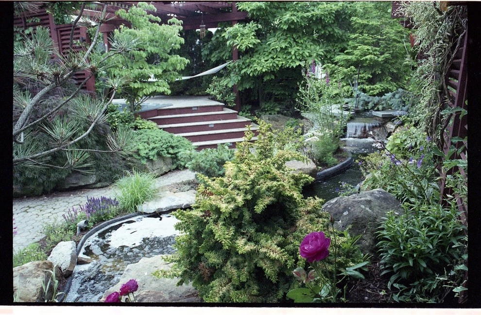 Lot 62 backyard by Pro Care Horticultural Services - Photo 22