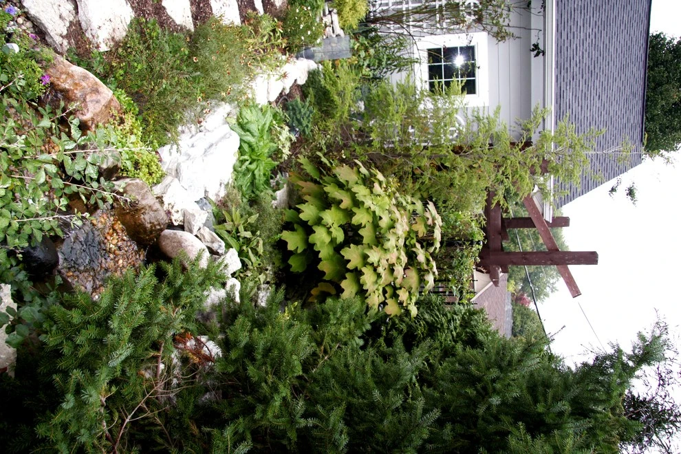 Wilkens Residence by Pro Care Horticultural Services - Photo 32