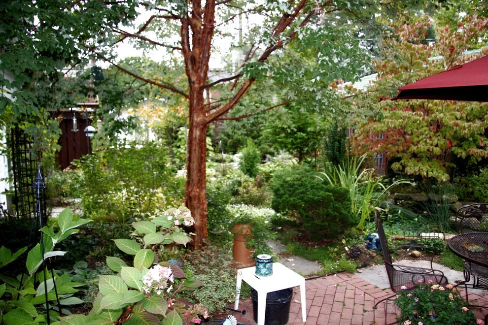 Wilkens Residence by Pro Care Horticultural Services - Photo 15