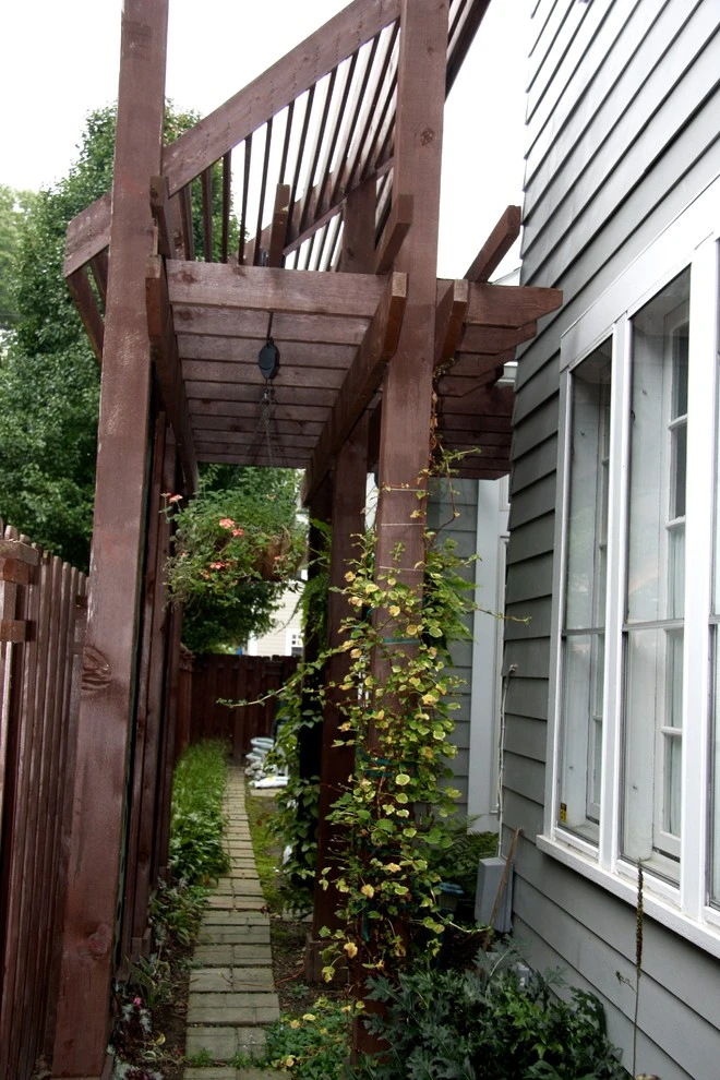 Wilkens Residence by Pro Care Horticultural Services - Photo 34