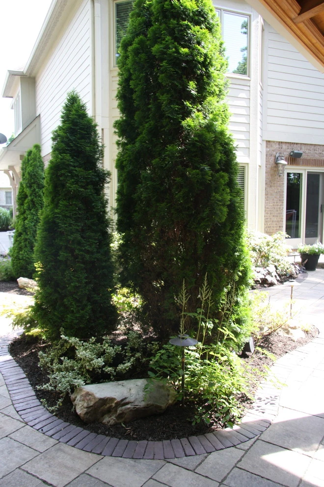 Fleming Residence by Pro Care Horticultural Services - Photo 102