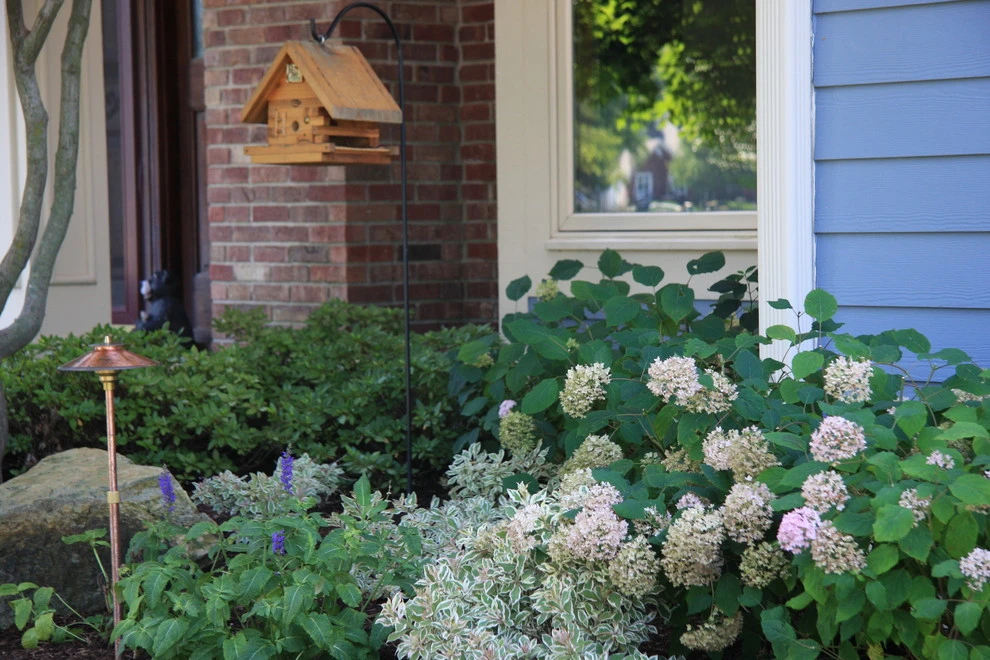 Freidman by Pro Care Horticultural Services - Photo 14