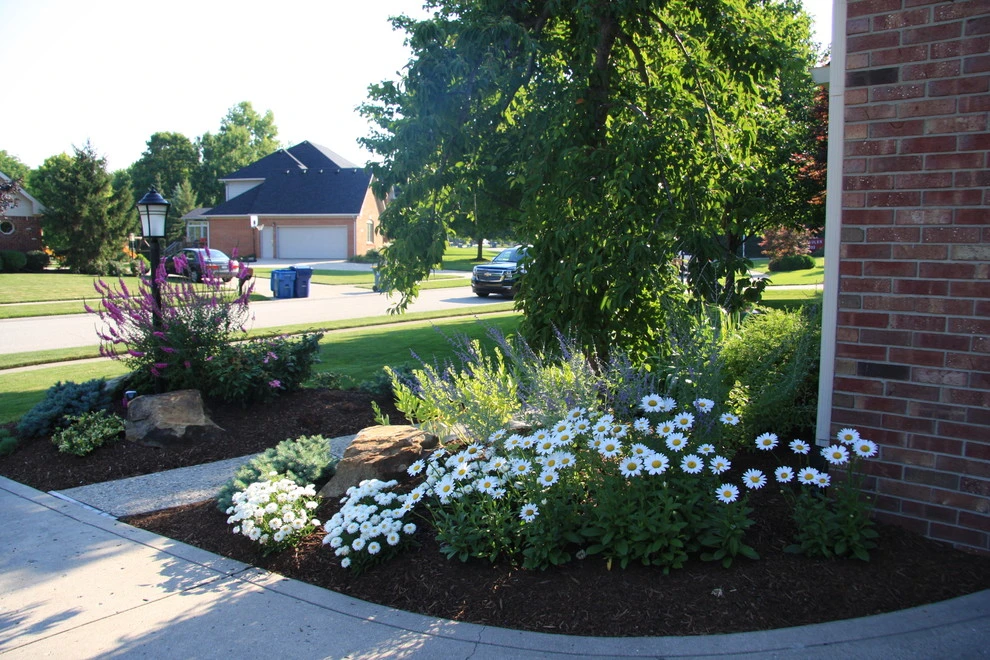 Freidman by Pro Care Horticultural Services - Photo 15
