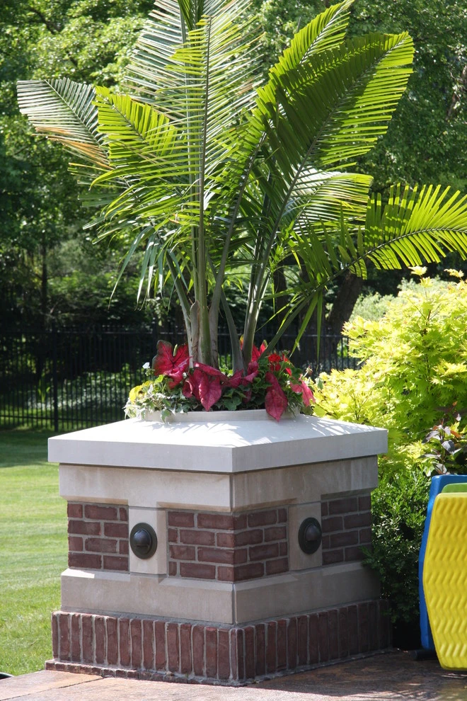 Drics Residence, Backyard by Pro Care Horticultural Services - Photo 75