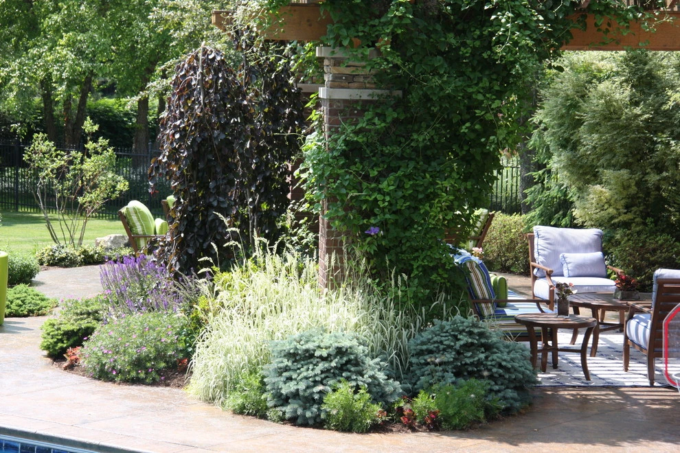 Drics Residence, Backyard by Pro Care Horticultural Services - Photo 47