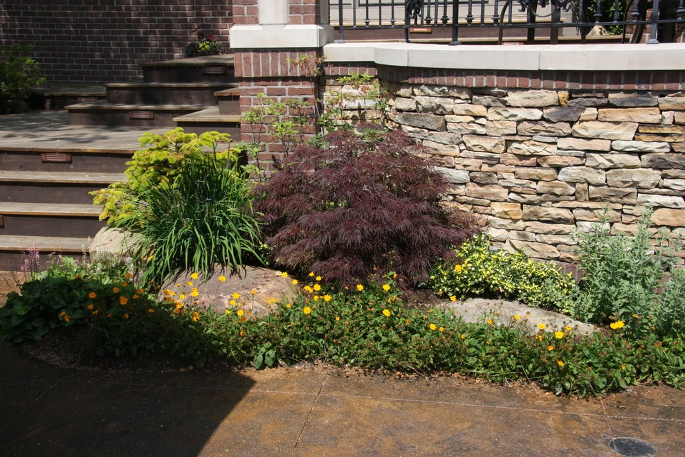 Drics Residence, Backyard by Pro Care Horticultural Services - Photo 41