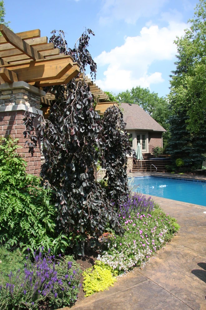 Drics Residence, Backyard by Pro Care Horticultural Services - Photo 78