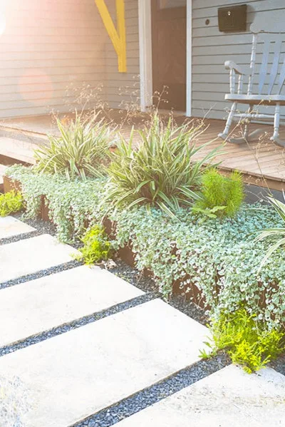Pots and Plants by Yarrow Landscaping - Photo 2