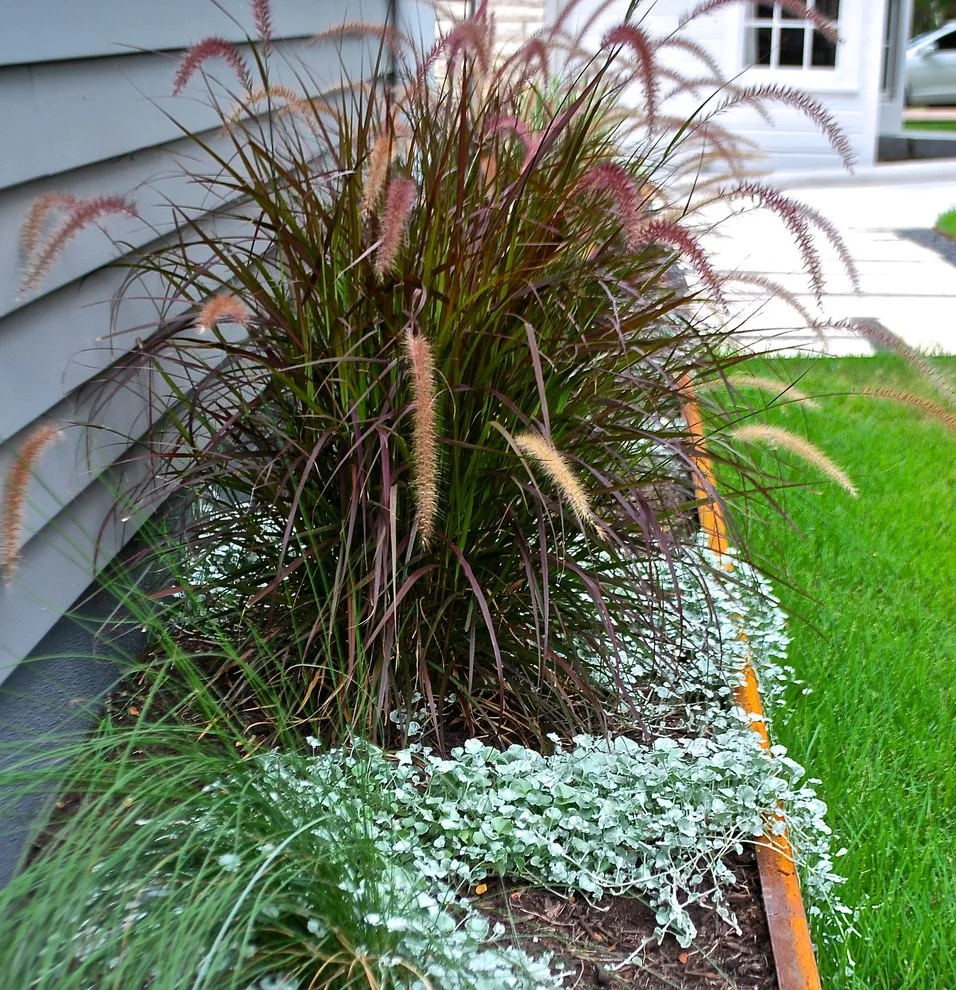 Pots and Plants by Yarrow Landscaping - Photo 3