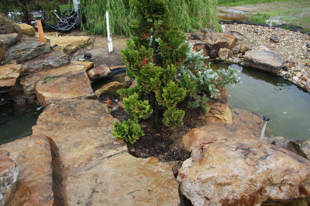 The Kaplan Residence by Pro Care Horticultural Services - Photo 353