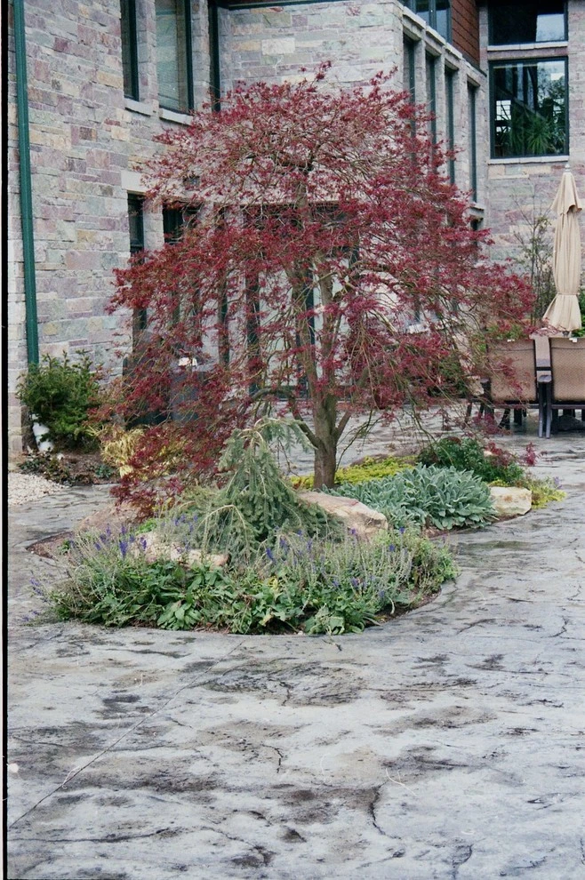 Koslowski Residence by Pro Care Horticultural Services - Photo 136