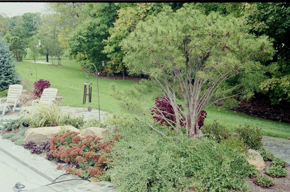 Koslowski Residence by Pro Care Horticultural Services - Photo 147