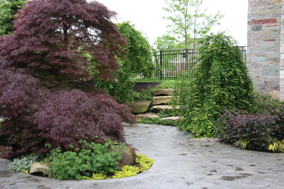 Pro Care Horticultural Services - Photo 14
