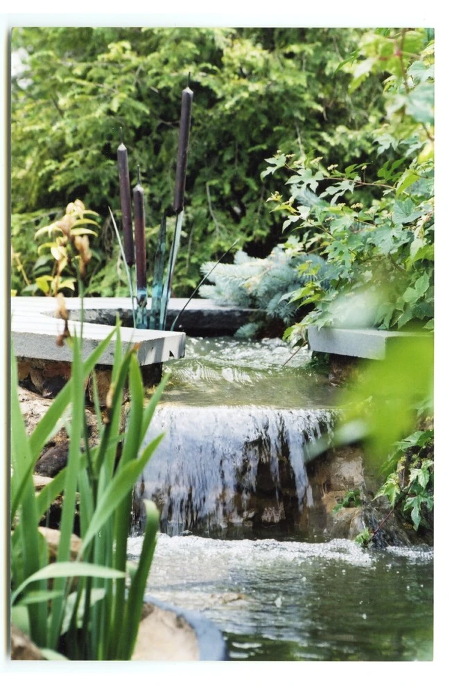 Lot 62 backyard by Pro Care Horticultural Services - Photo 27