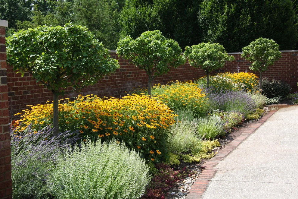Remick Residence by Pro Care Horticultural Services - Photo 11