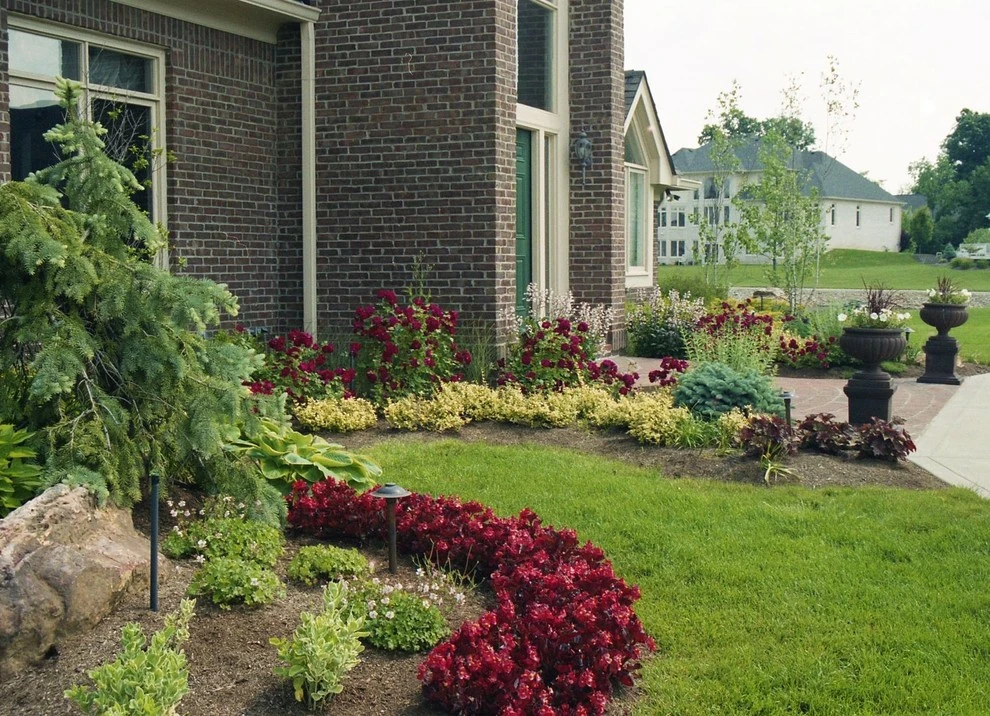 Stephen Residence by Pro Care Horticultural Services - Photo 13