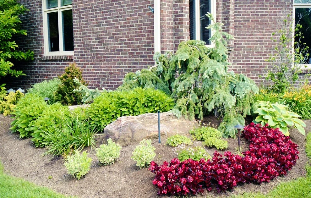 Stephen Residence by Pro Care Horticultural Services - Photo 20