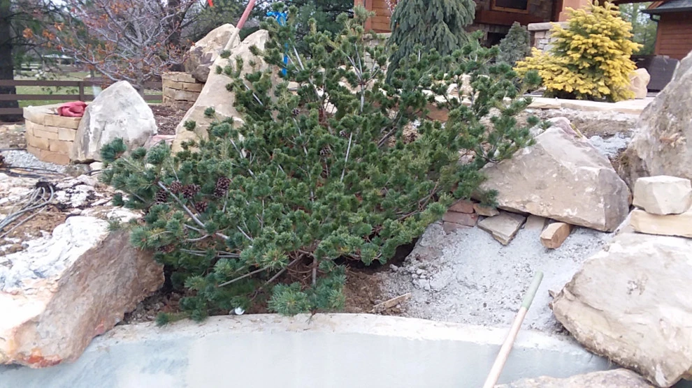 Private Greenwood Residence by Pro Care Horticultural Services - Photo 26
