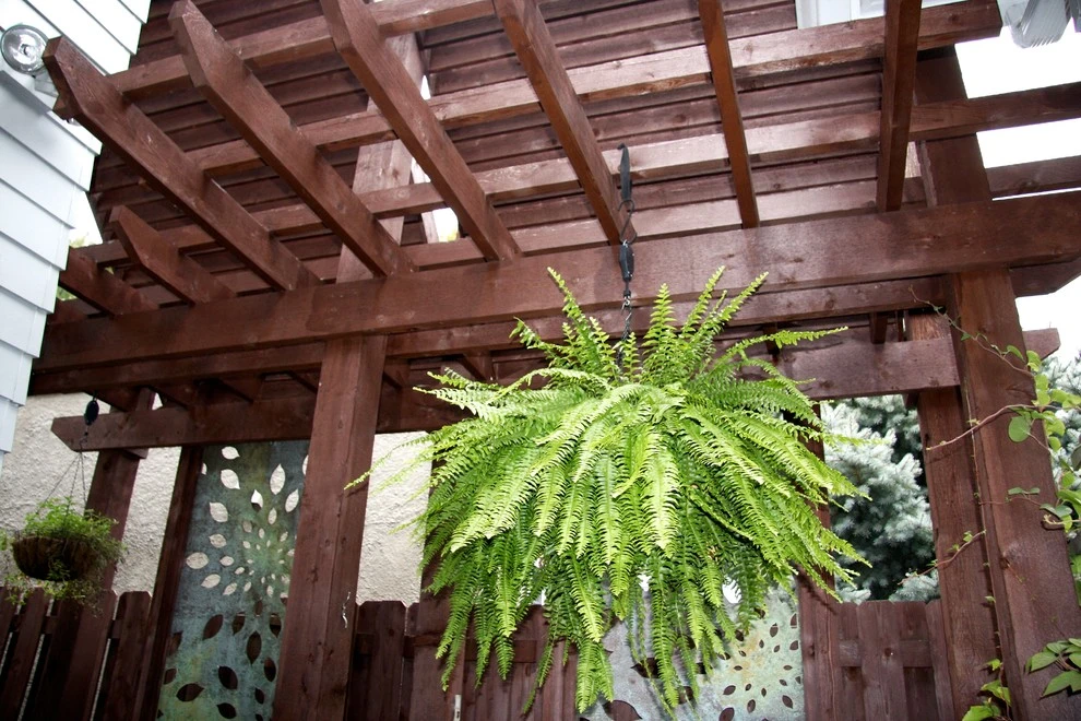Wilkens Residence by Pro Care Horticultural Services - Photo 27