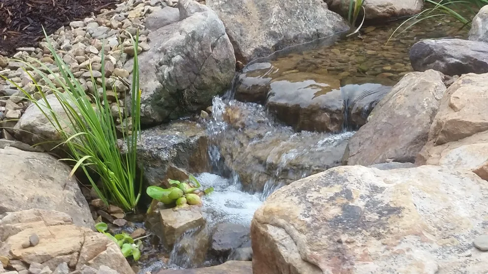 Water Bodies and Flowing Streams by Let It Fly Backyard Living - Photo 6