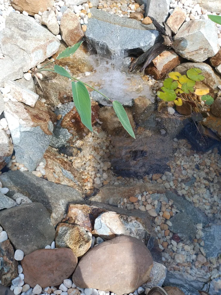 Water Bodies and Flowing Streams by Let It Fly Backyard Living - Photo 11