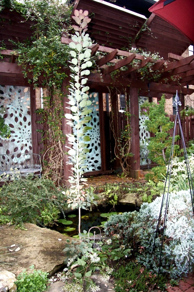 Wilkens Residence by Pro Care Horticultural Services - Photo 36