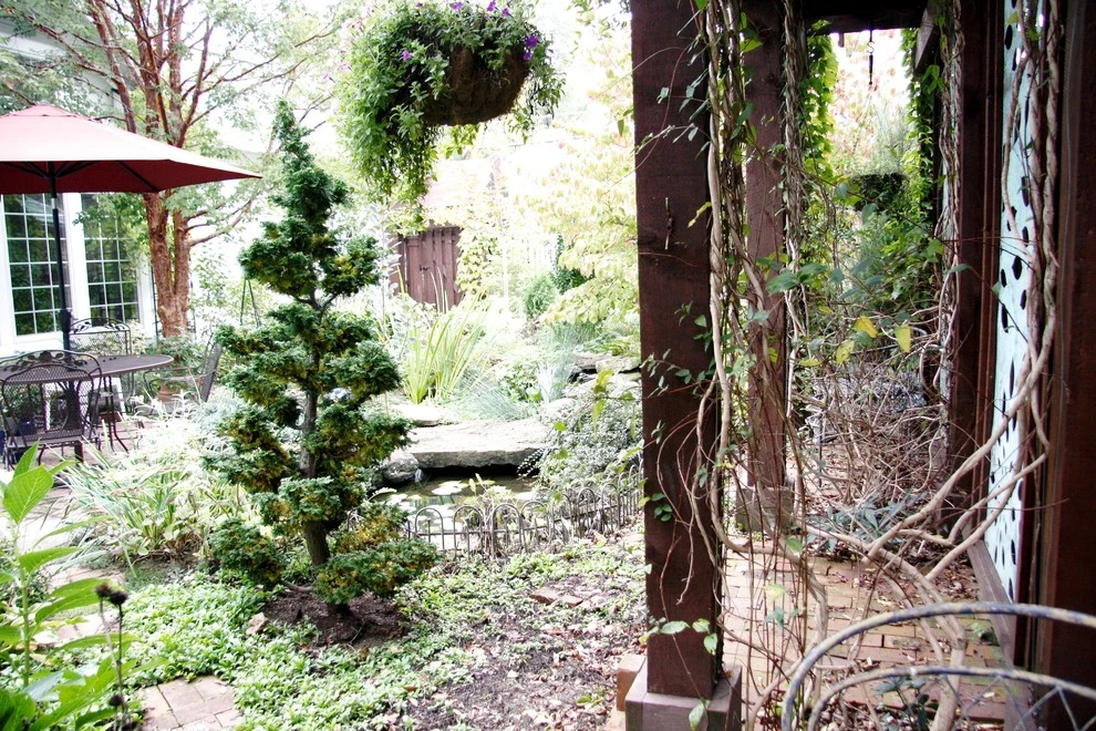 Wilkens Residence by Pro Care Horticultural Services - Photo 21
