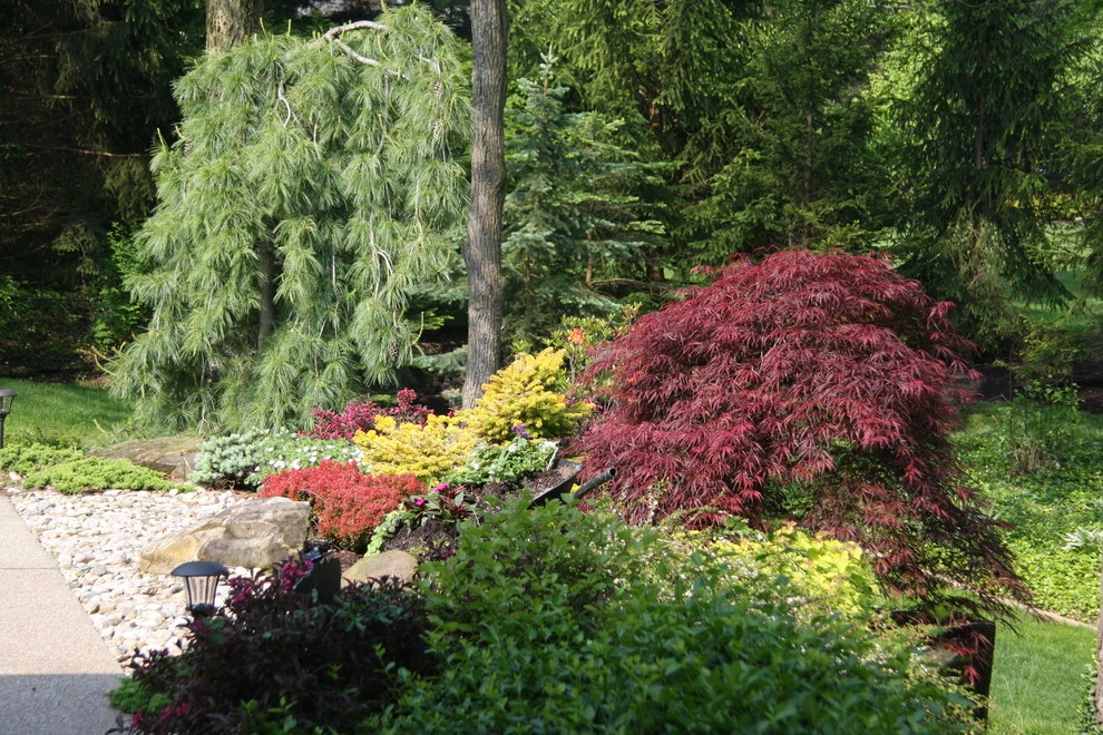 Bruen Residence by Pro Care Horticultural Services - Photo 51