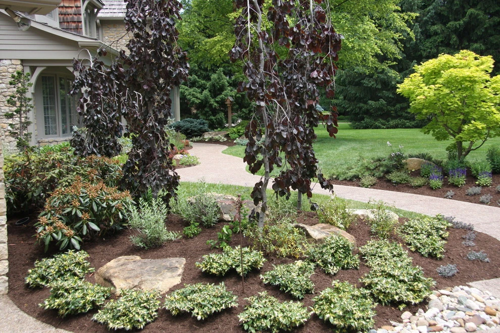Bruen Residence by Pro Care Horticultural Services - Photo 39