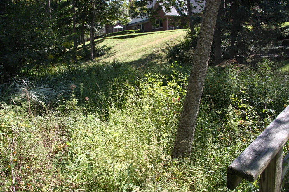Bruen Residence by Pro Care Horticultural Services - Photo 41