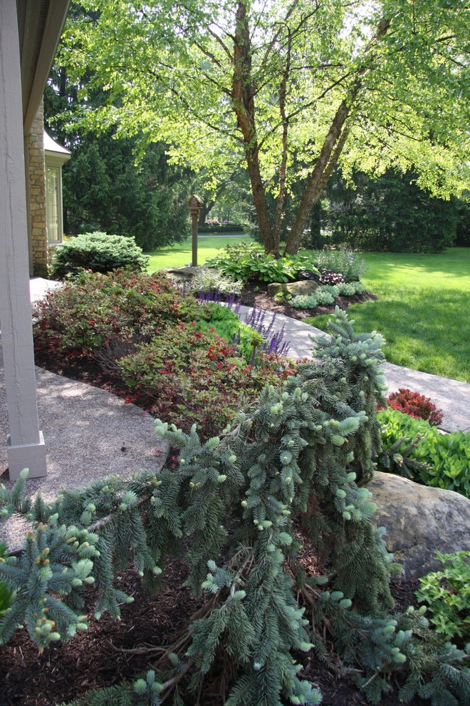Bruen Residence by Pro Care Horticultural Services - Photo 107