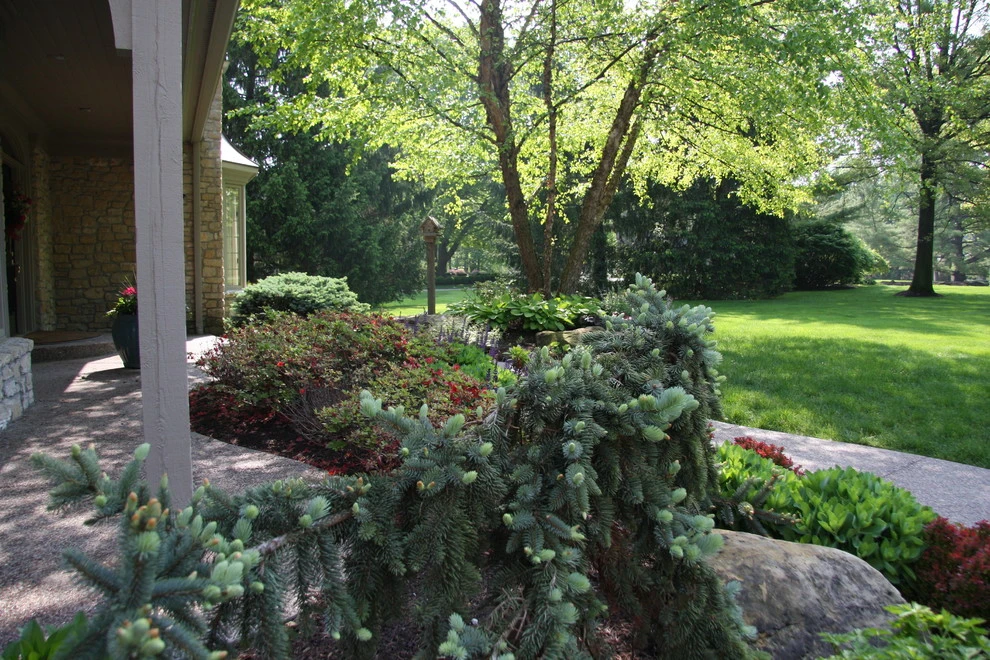 Bruen Residence by Pro Care Horticultural Services - Photo 38