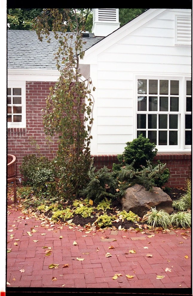 Laikin 3rd Home by Pro Care Horticultural Services - Photo 63