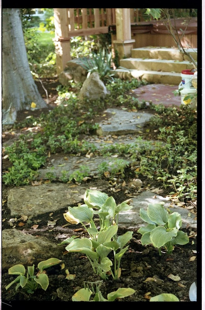 Laikin 3rd Home by Pro Care Horticultural Services - Photo 34