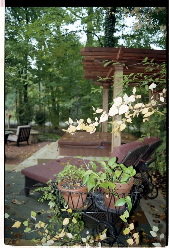 Laikin 3rd Home by Pro Care Horticultural Services - Photo 45