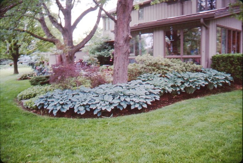 Eikenberry Residence by Pro Care Horticultural Services - Photo 121