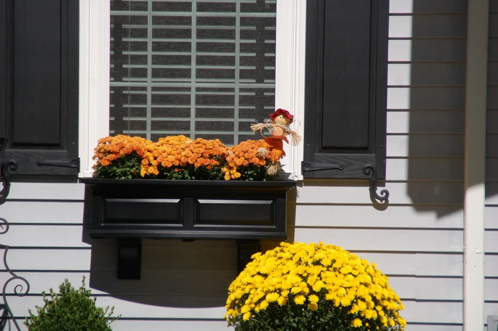 Outdoor Living Spaces by Hurst Design Build Remodel - Photo 30