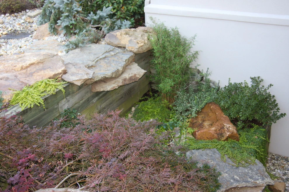 The Mann Residence by Pro Care Horticultural Services - Photo 89