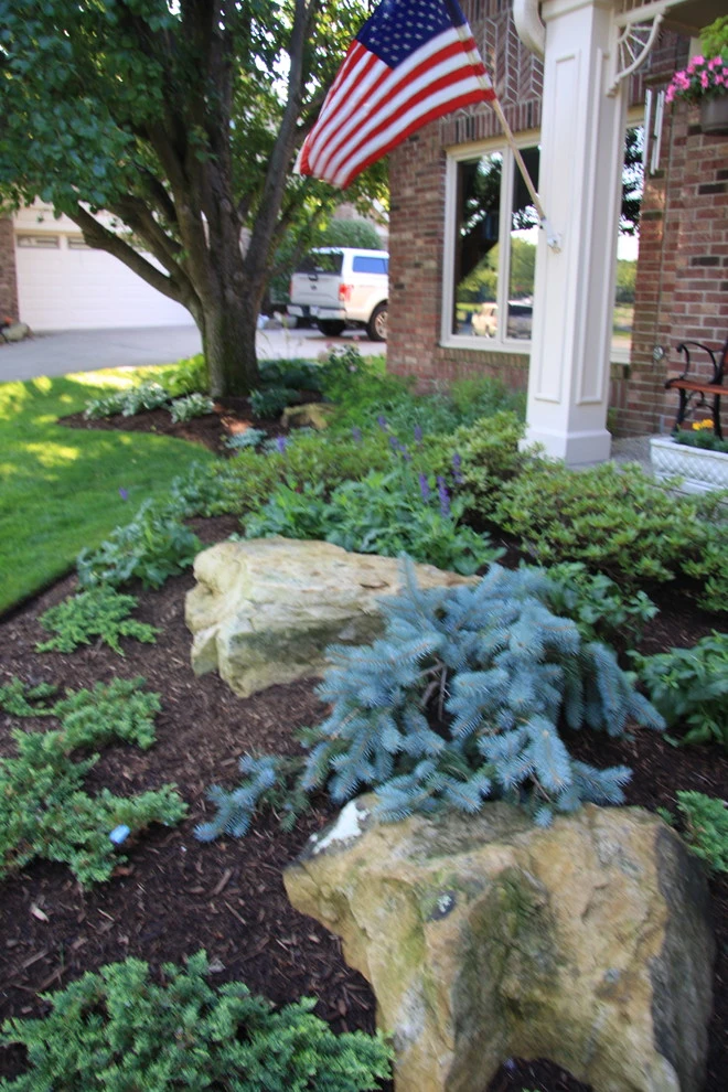 Freidman by Pro Care Horticultural Services - Photo 11