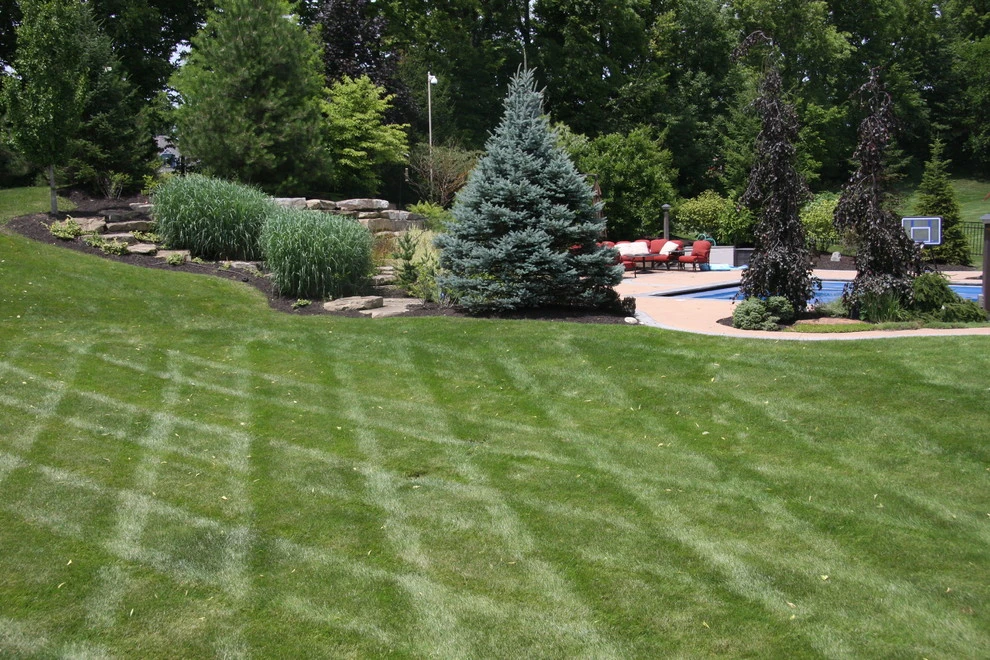 The Kaplan Residence by Pro Care Horticultural Services - Photo 57
