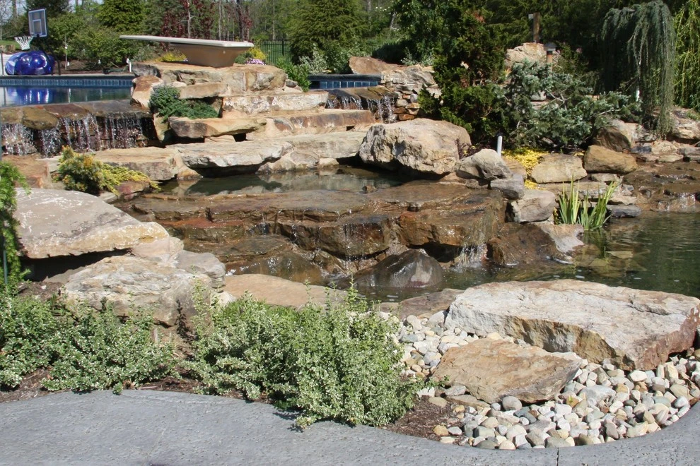 The Kaplan Residence by Pro Care Horticultural Services - Photo 437