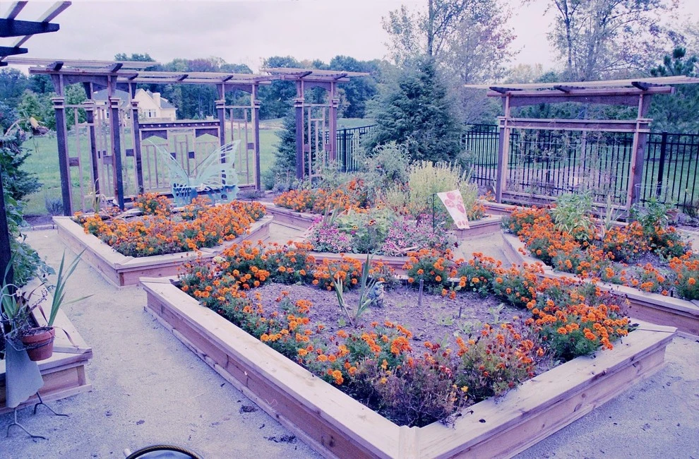 Koslowski Residence by Pro Care Horticultural Services - Photo 148