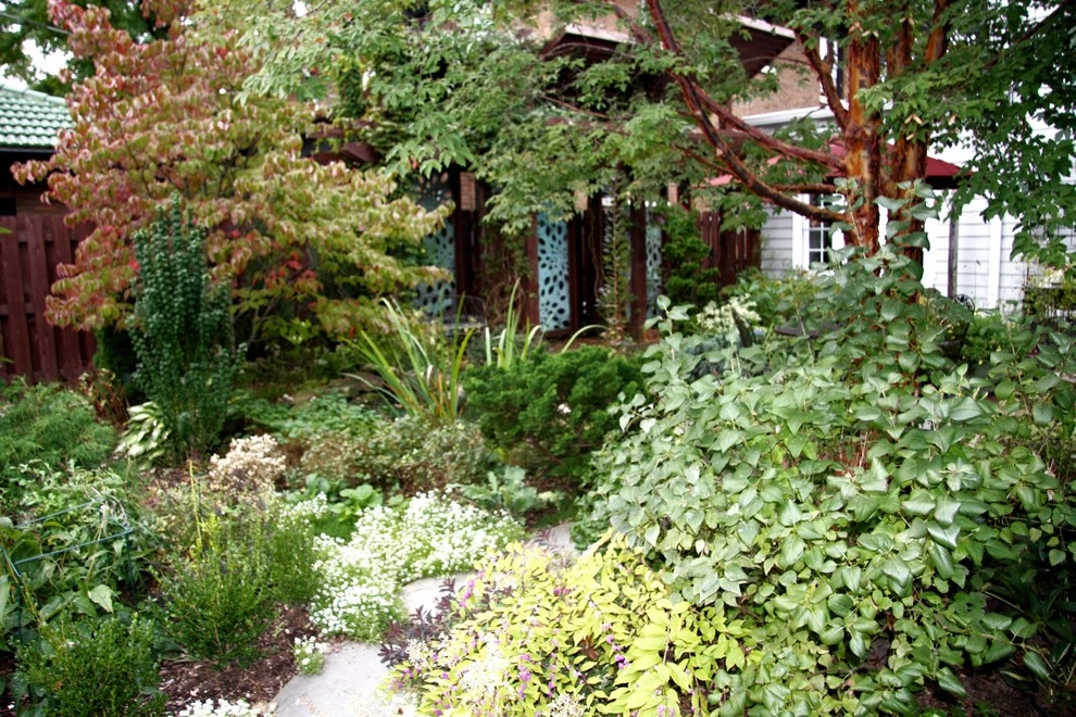 Wilkens Residence by Pro Care Horticultural Services - Photo 45