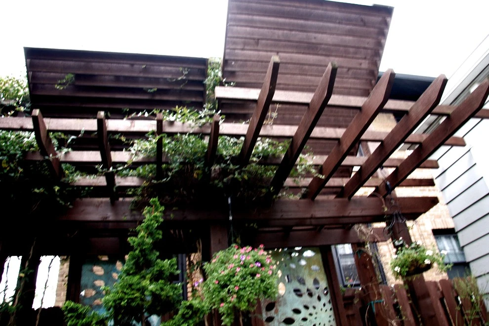 Wilkens Residence by Pro Care Horticultural Services - Photo 41
