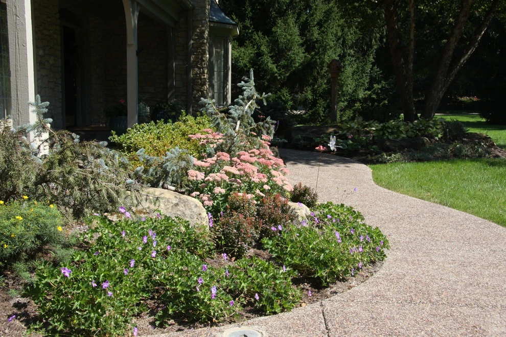 Bruen Residence by Pro Care Horticultural Services - Photo 63
