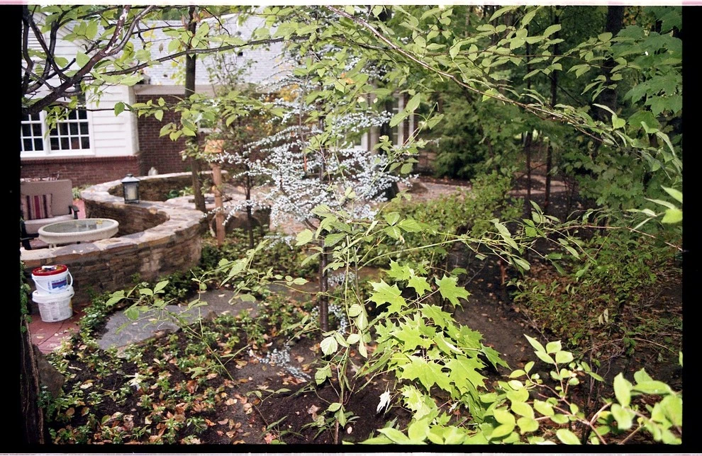 Laikin 3rd Home by Pro Care Horticultural Services - Photo 51