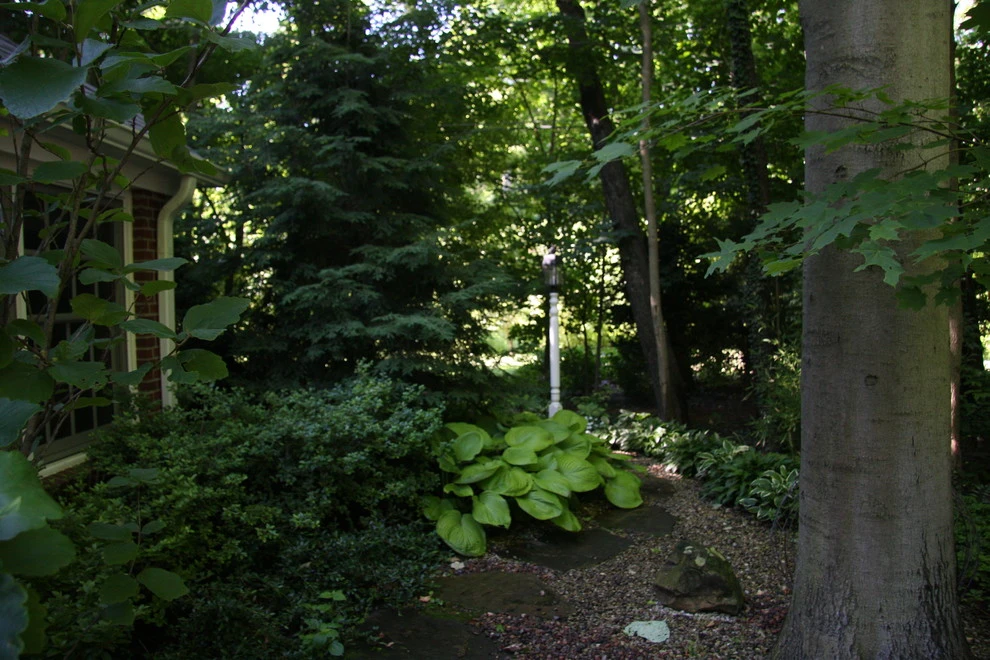 Laikin 3rd Home by Pro Care Horticultural Services - Photo 35