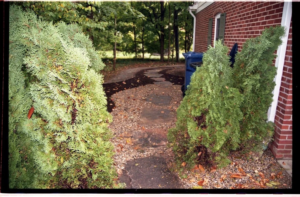 Laikin 3rd Home by Pro Care Horticultural Services - Photo 77